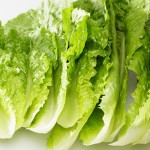 Lettuce - خس