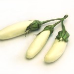 باذنجان أبيض - Eggplant